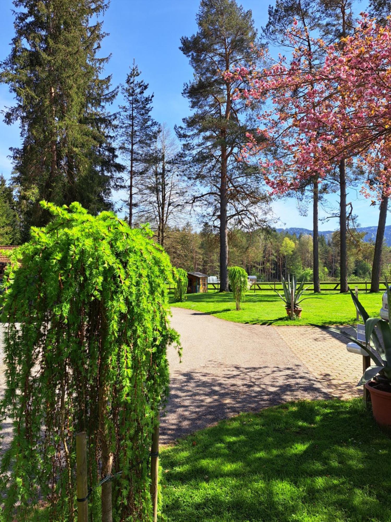 Pension Fischinger Feldkirchen in Kärnten Esterno foto