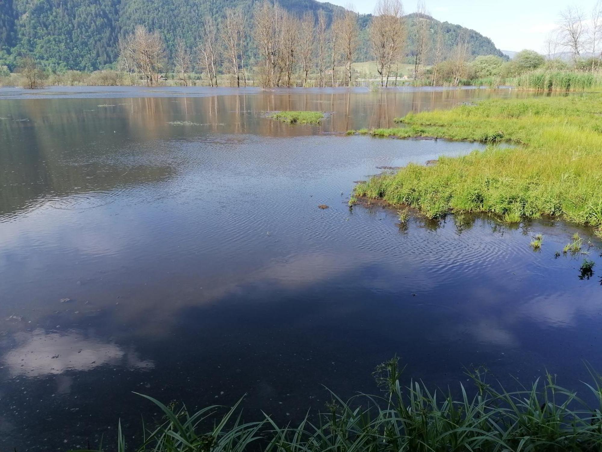 Pension Fischinger Feldkirchen in Kärnten Esterno foto
