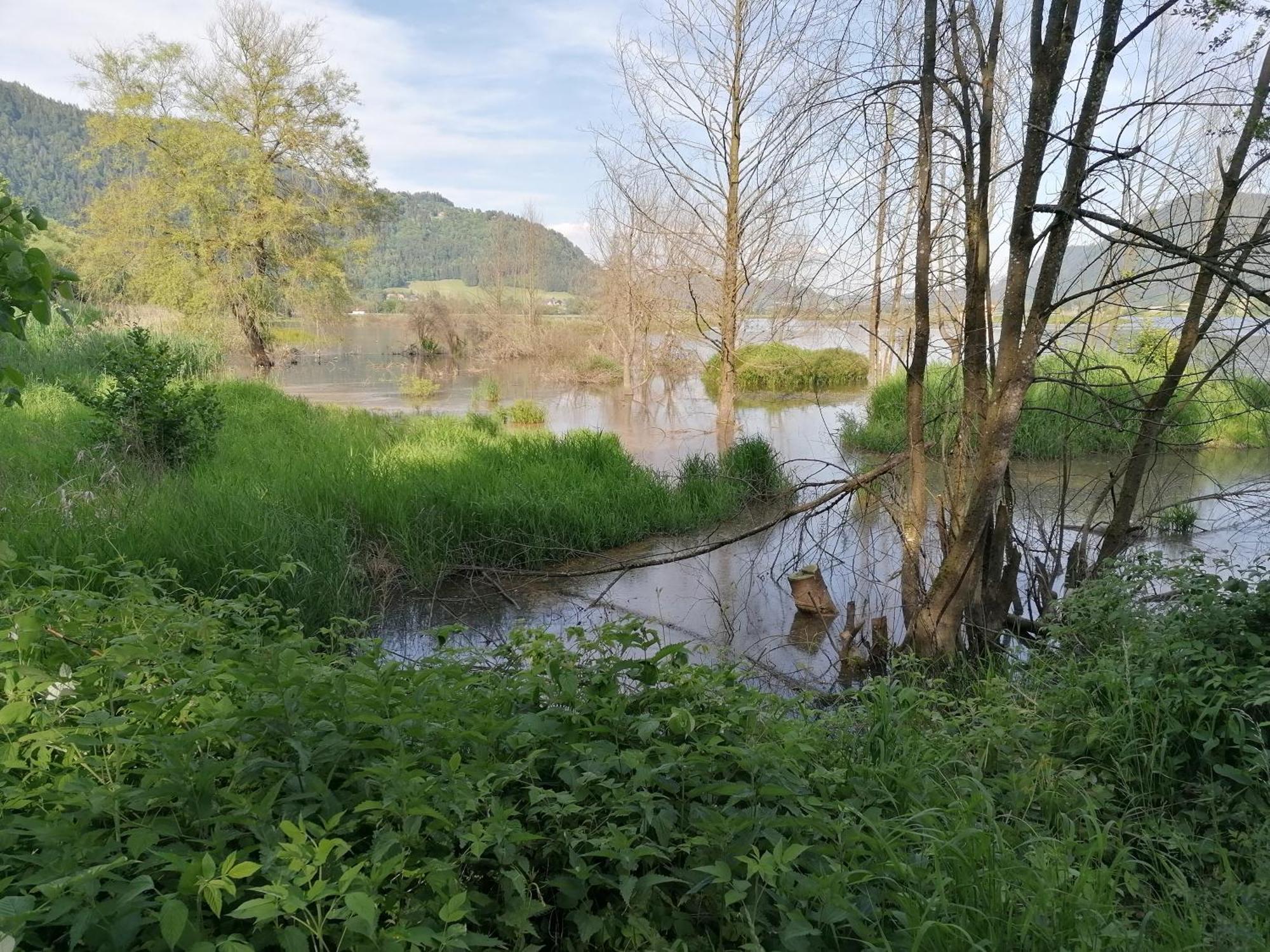 Pension Fischinger Feldkirchen in Kärnten Esterno foto